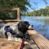 Entry image for Harley