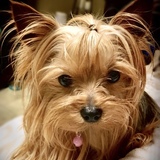 Entry image for Khloe 