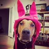 Entry image for Culvert Cumberbunch III