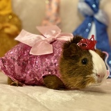 Entry image for Princess CC