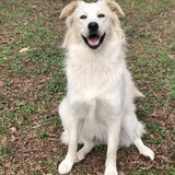 Entry image for Zimmy