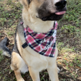 Entry image for Mocha