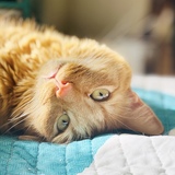 Entry image for Andrew