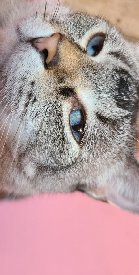 Entry image for Heidi. Clicking this image will show a larger photo