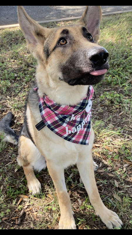 Entry image for Mocha. Clicking this image will show a larger photo