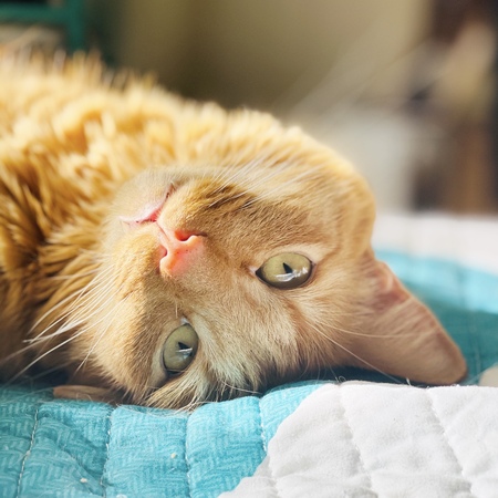 Entry image for Andrew. Clicking this image will show a larger photo