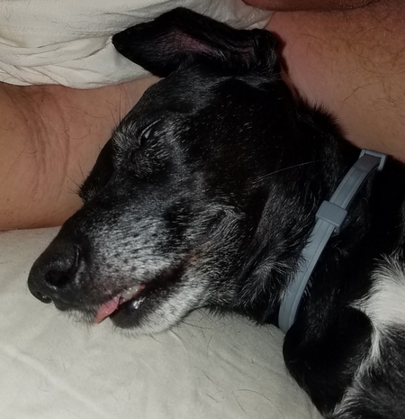 Entry image for Darlah. Clicking this image will show a larger photo