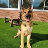 Entry image for Jody - Adopted!!!