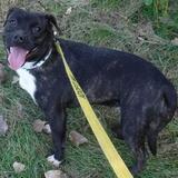 Entry image for Ursula - Adopted!!!
