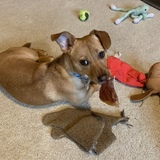 Entry image for Charlie