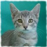Entry image for Carrot - Adopted!!!