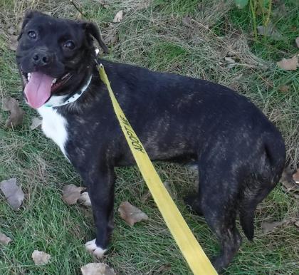 Entry image for Ursula - Adopted!!!. Clicking this image will show a larger photo
