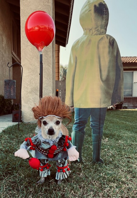Nacho