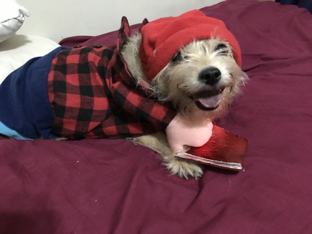 Benjy Gomez