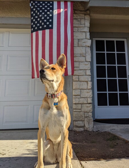 Gracie