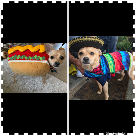 Paco 