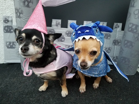 Coco and Cassie