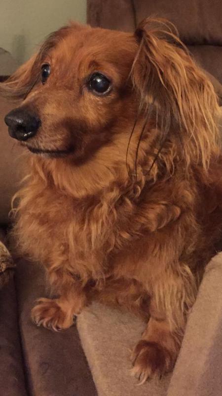 Alfie