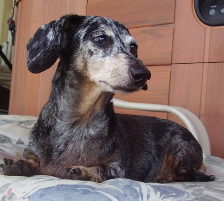 Maggie Mae