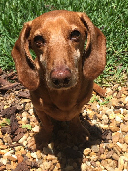 Winston