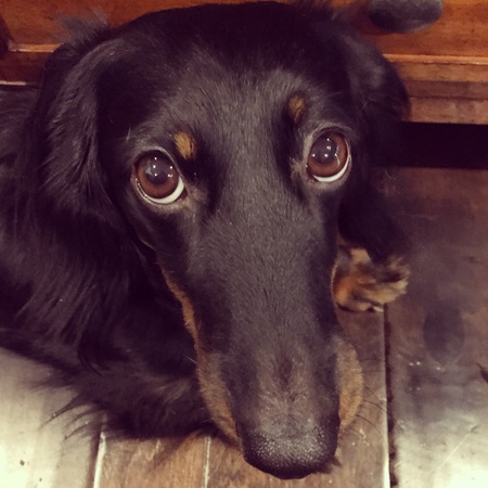 Tucker