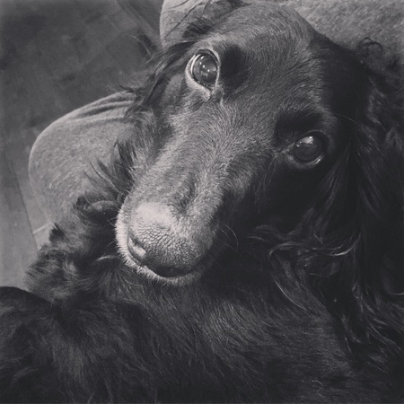 Remington