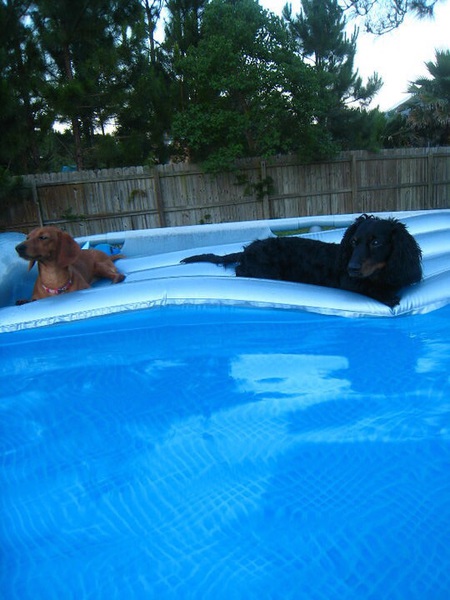 Otto and Zoe