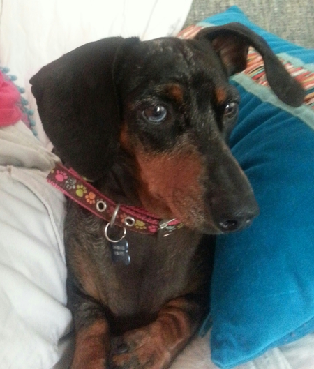 Ellie