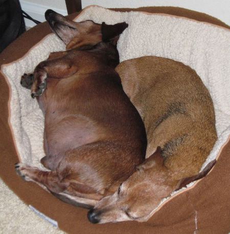 Bubba & PeeWee