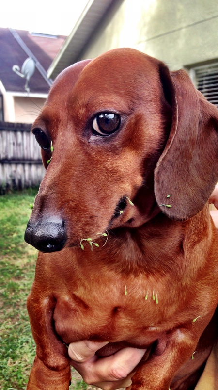 Copper