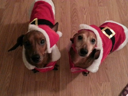 Paxton and Cola