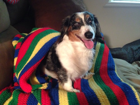 Baxter