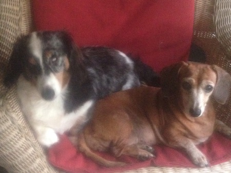 Baxter and Tanner