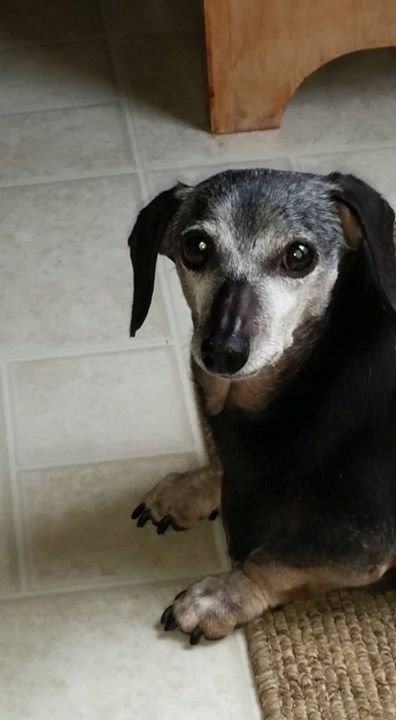 Sophie