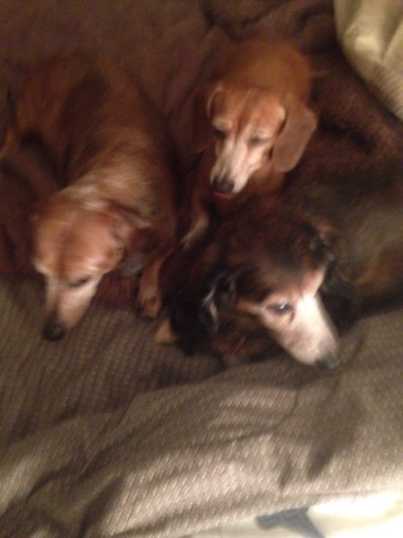 Autumn, Sissy, Tanner 