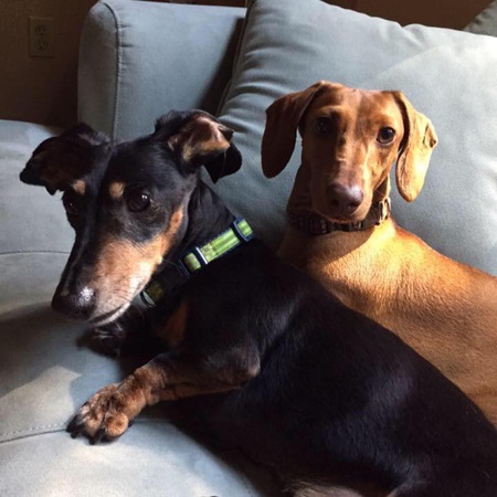 Josh and Ginger