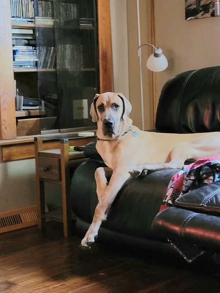 AXEL