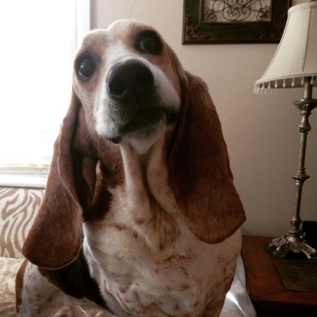 Sophie