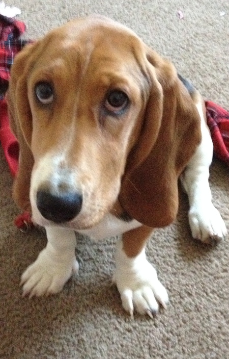 Charlie