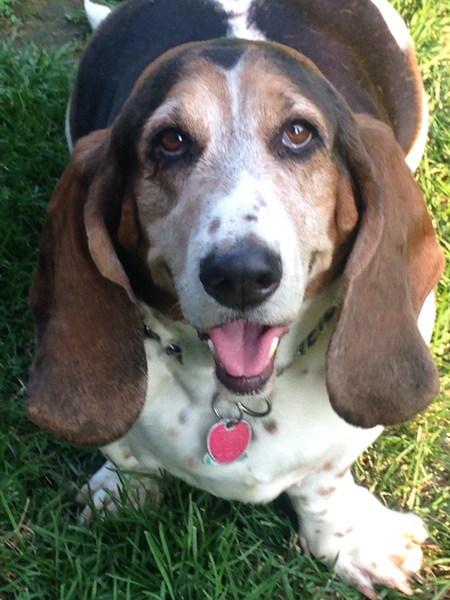 Ethel