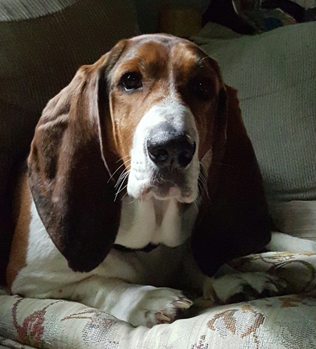 Roscoe