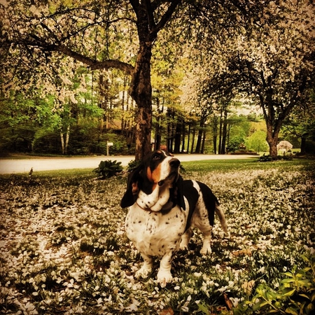 Fiona