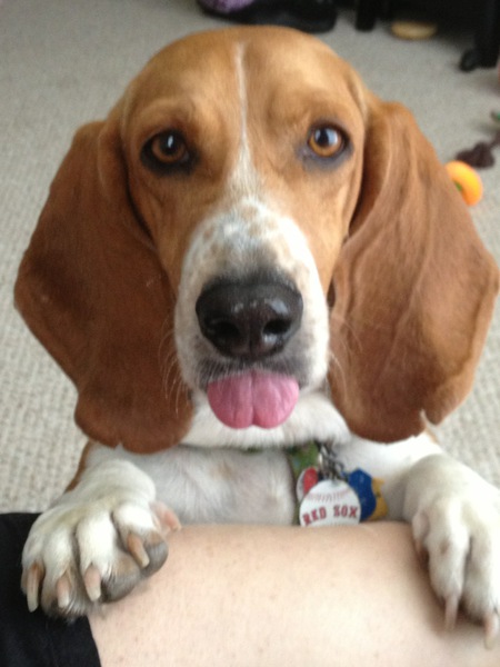 Henry