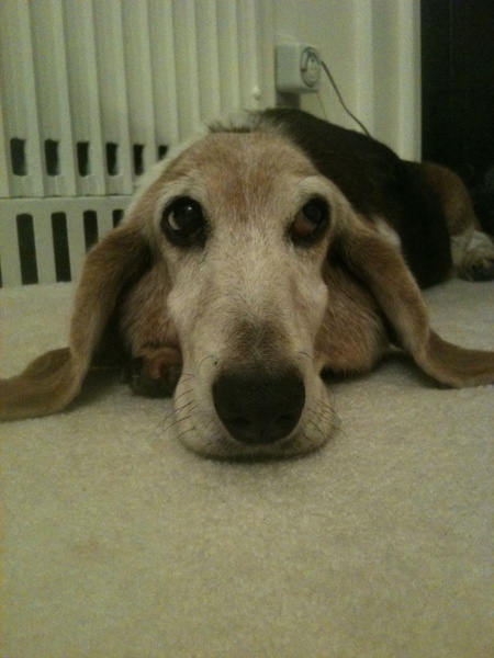 Penny