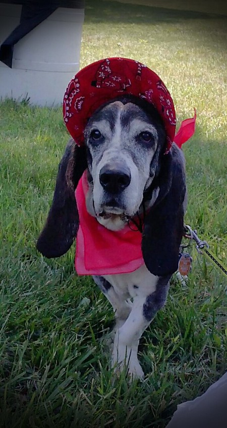 Snoopy