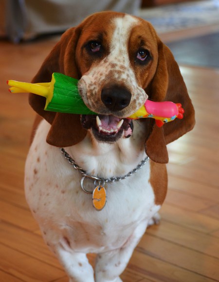 Maybelle Lorraine Milo