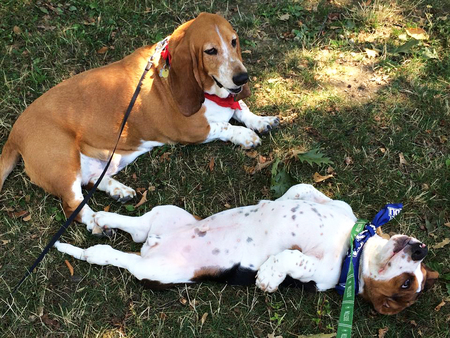 Vinny and Toby