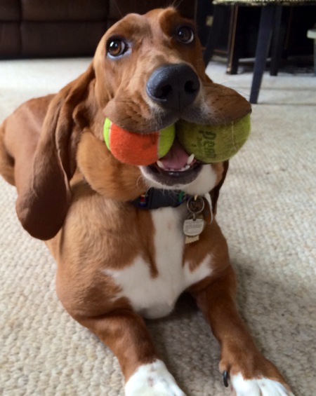 Meatball