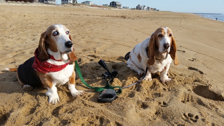 Kobe and Jasmine
