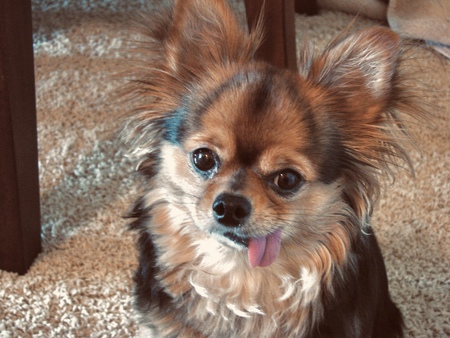 Rocky